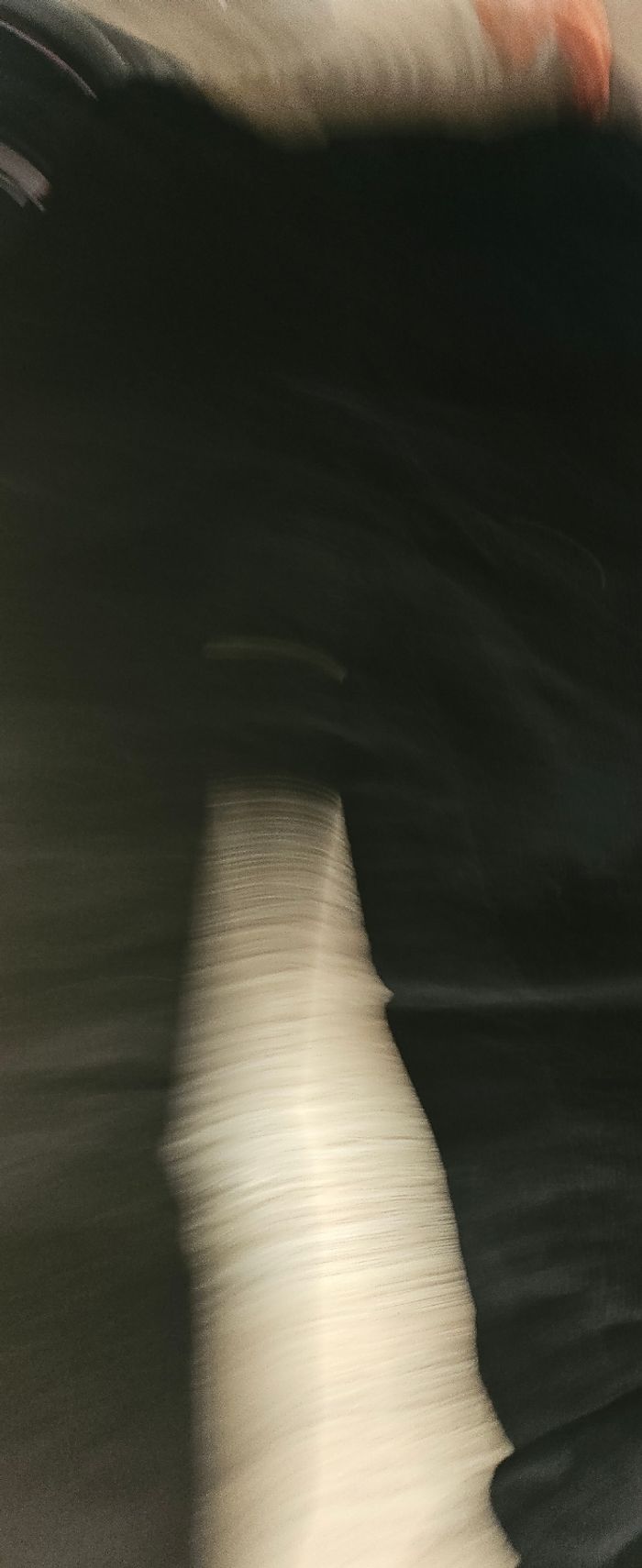 Lot de vêtements bébé garcon 18 mois - photo numéro 6