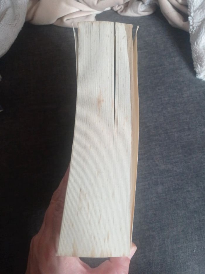 Livre les écureuils de central Park sont tristes le lundi - photo numéro 4