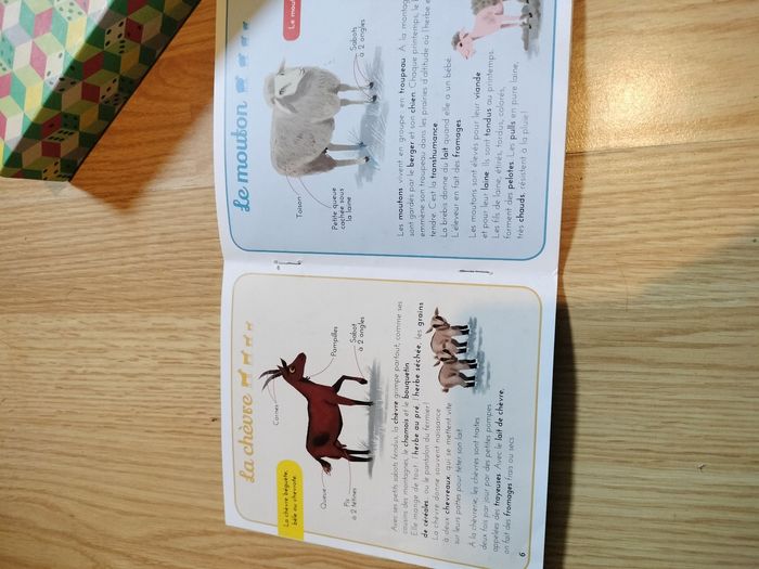 Jeux des familles - photo numéro 3