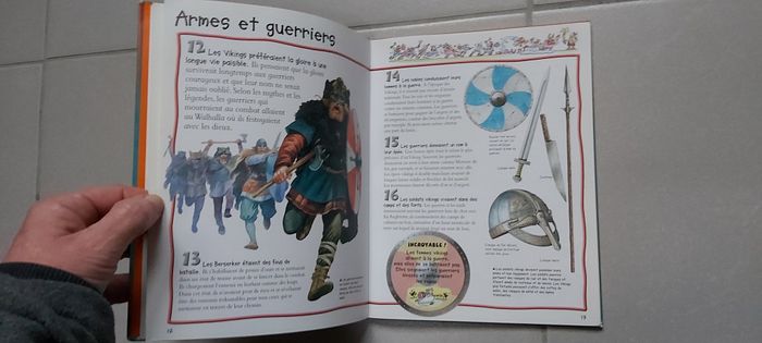 100 infos à connaître Les Vikings - photo numéro 9