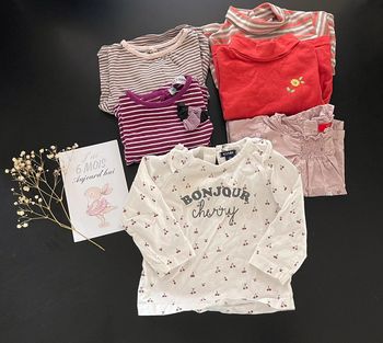 Lot 6 tee-shirts manches longues 6M