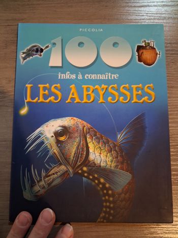 100 infos les abysses
