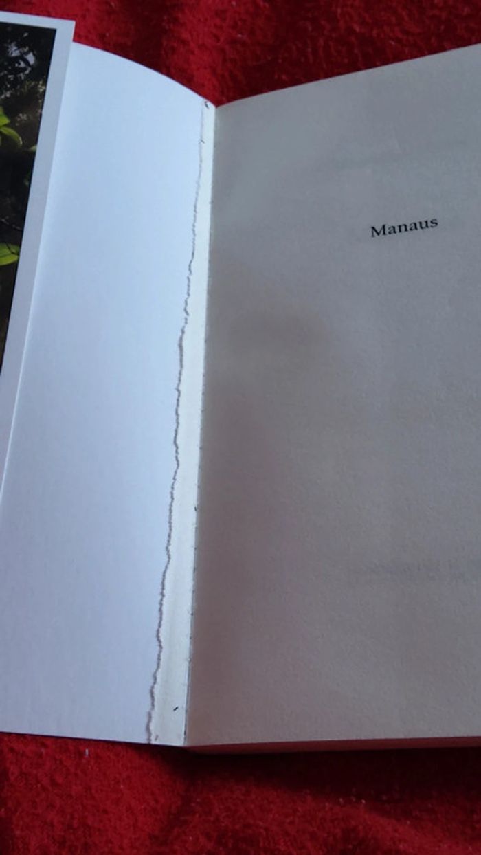 Manaus - photo numéro 6