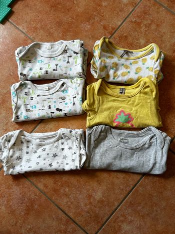 Lot de 6 body manches courtes