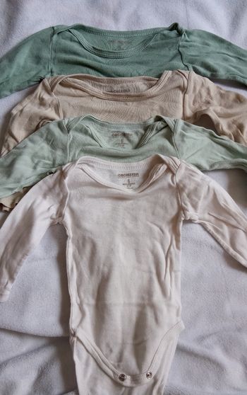 Lot bodies 6M