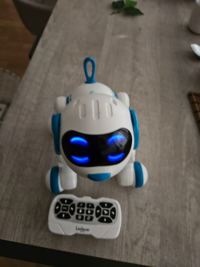 Chien Power puppy JR8 - photo numéro 4