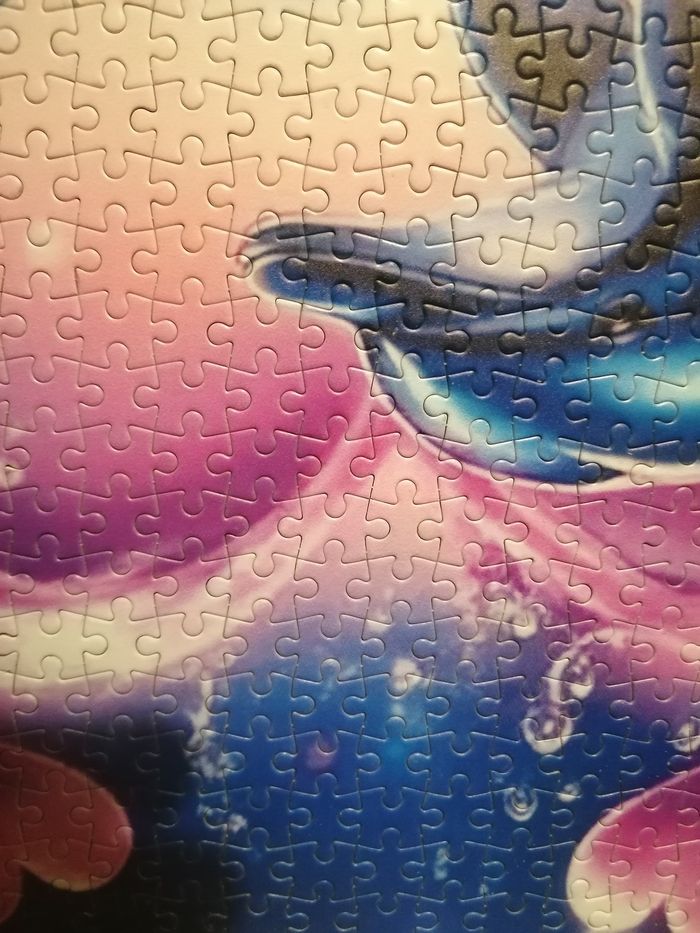 Puzzle 1000 pieces - photo numéro 5