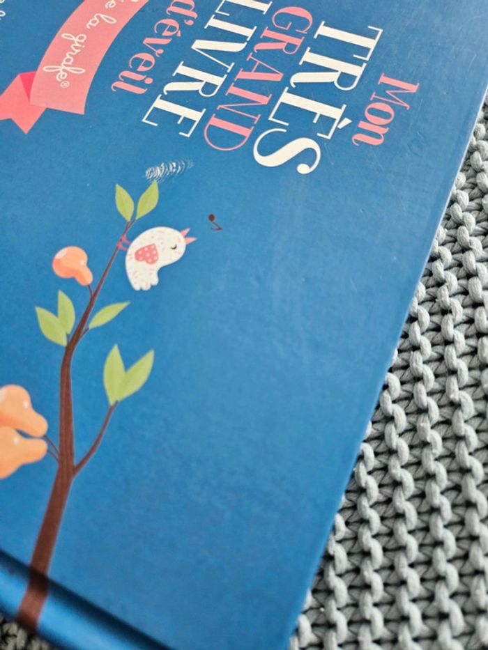 Mon très grand livre d'éveil - photo numéro 3