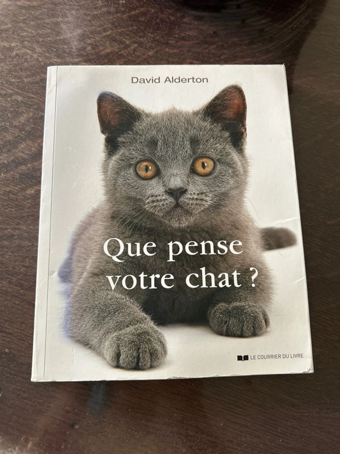 Que pense votre chat?