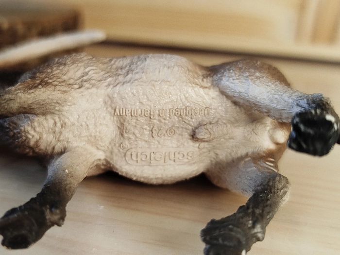 Schleich bouquetin Figurine Animal de la montagne - photo numéro 5