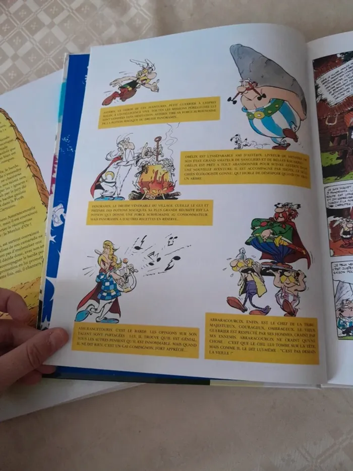Asterix et les Goths - photo numéro 2