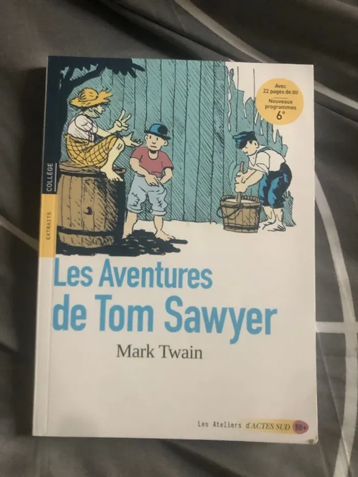 Livre les aventures de Tom Sawyer đ - photo numĂ©ro 2