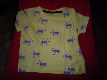 TEE SHIRT ZEBRES