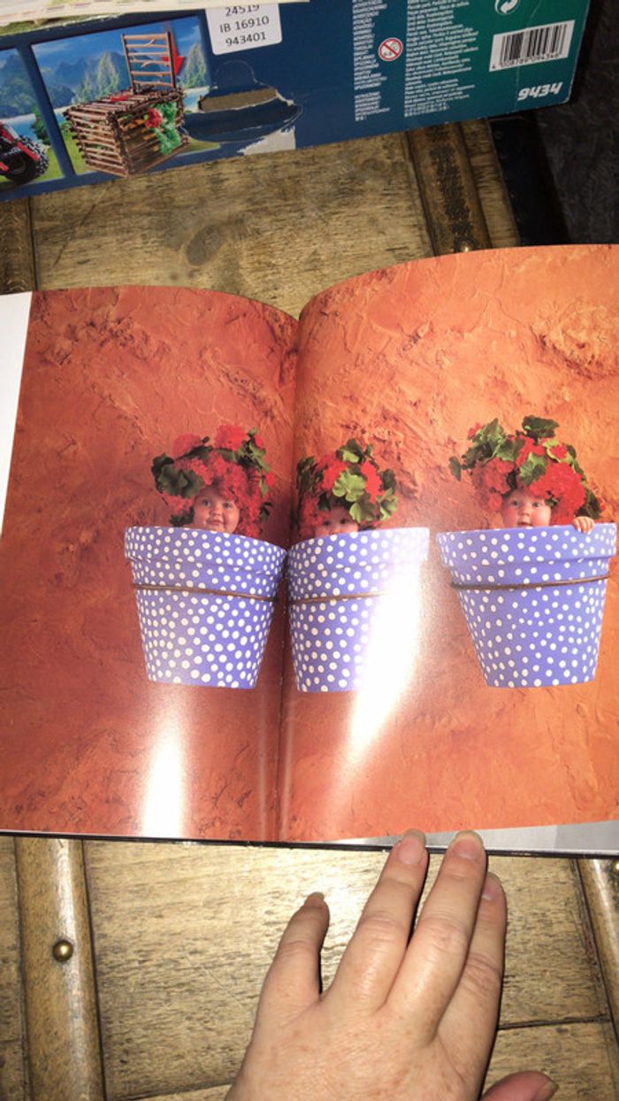 Magnifique livre Anne Geddes - photo numéro 5