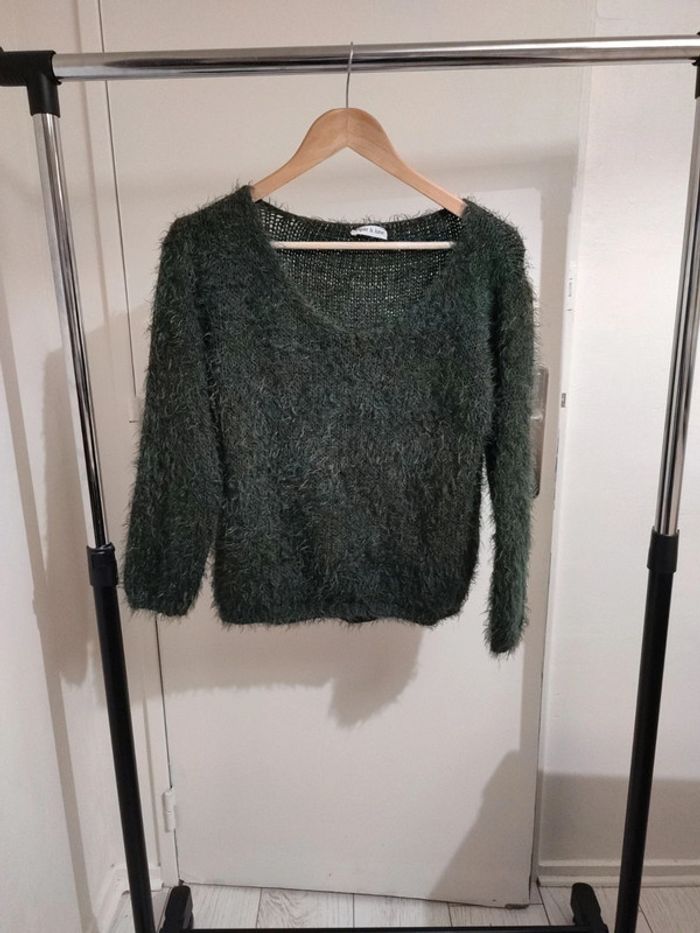 Pull vert à poils