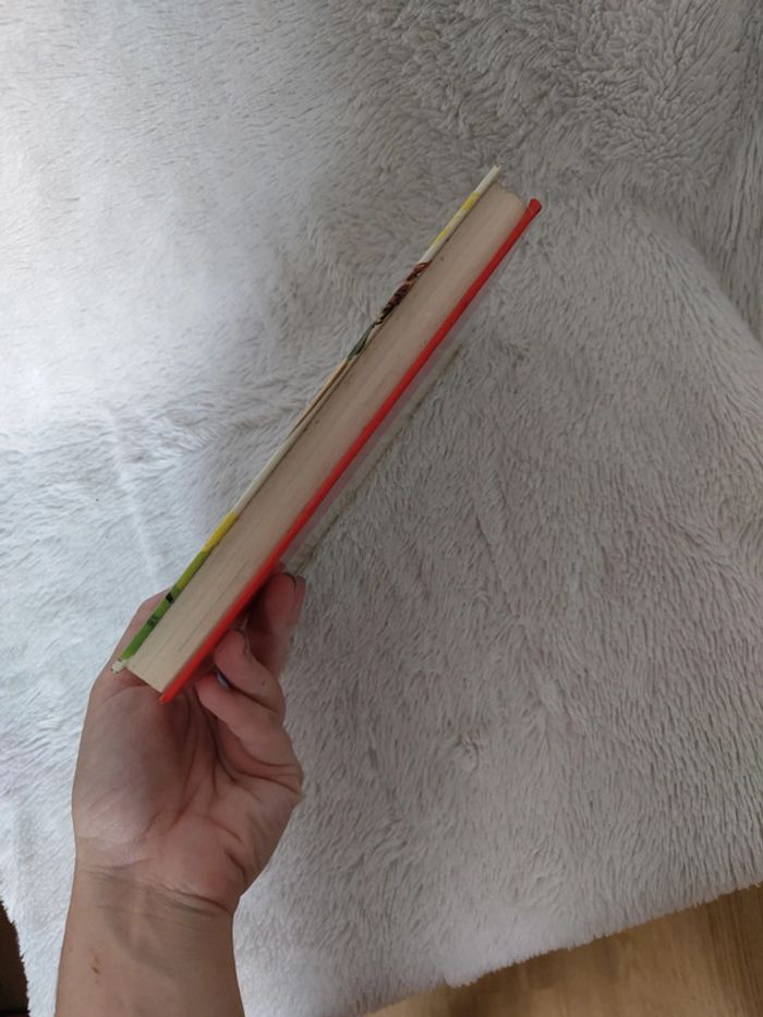 La revanche de Robin des bois - photo numéro 4