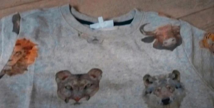 Sweat têtes animaux - photo numéro 3