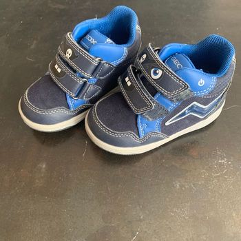 Basket geox lumineuse