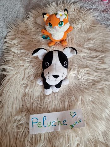 Petit chien noir et blanc