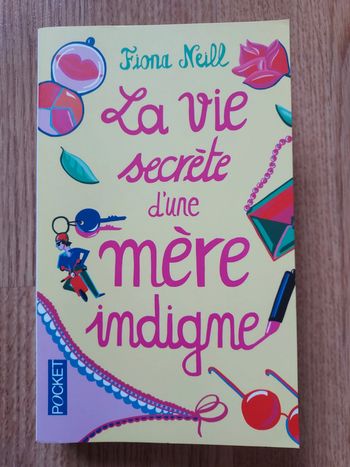 La vie secrète d'une mère indigne Fiona Neill