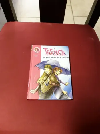 Witch un pont entre deux mondes 10