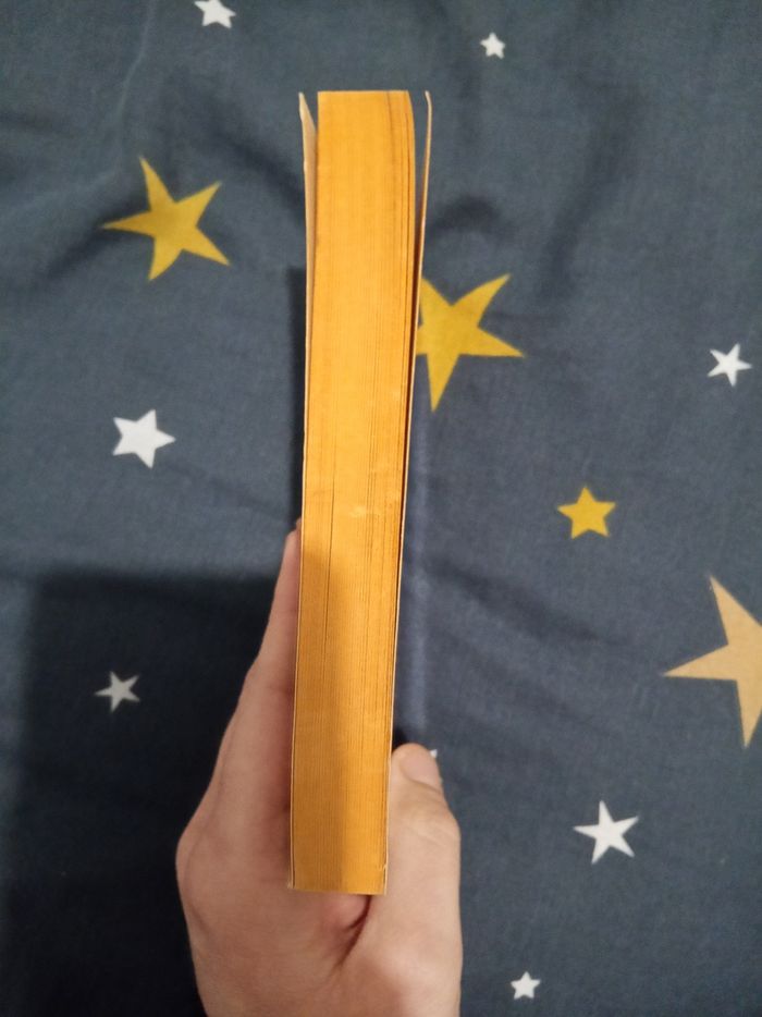 Livre (149) 📚 Le troisième oeil - photo numéro 4