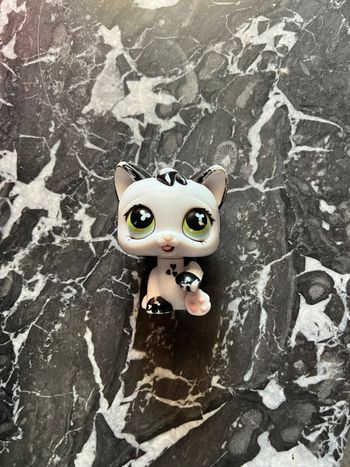 Lps cat
