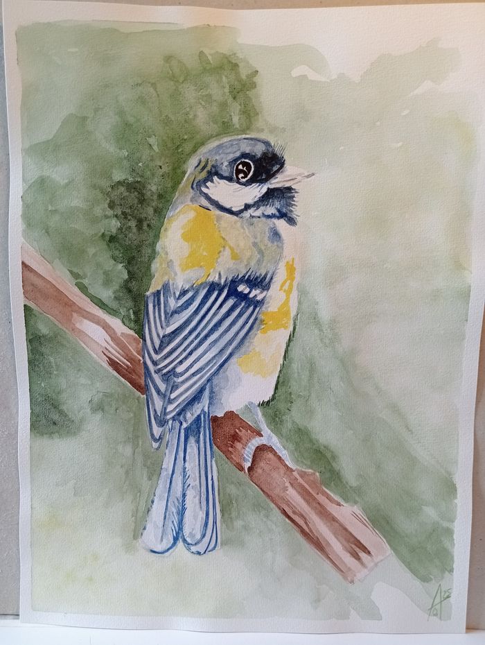 Mésange à l' aquarelle - photo numéro 3