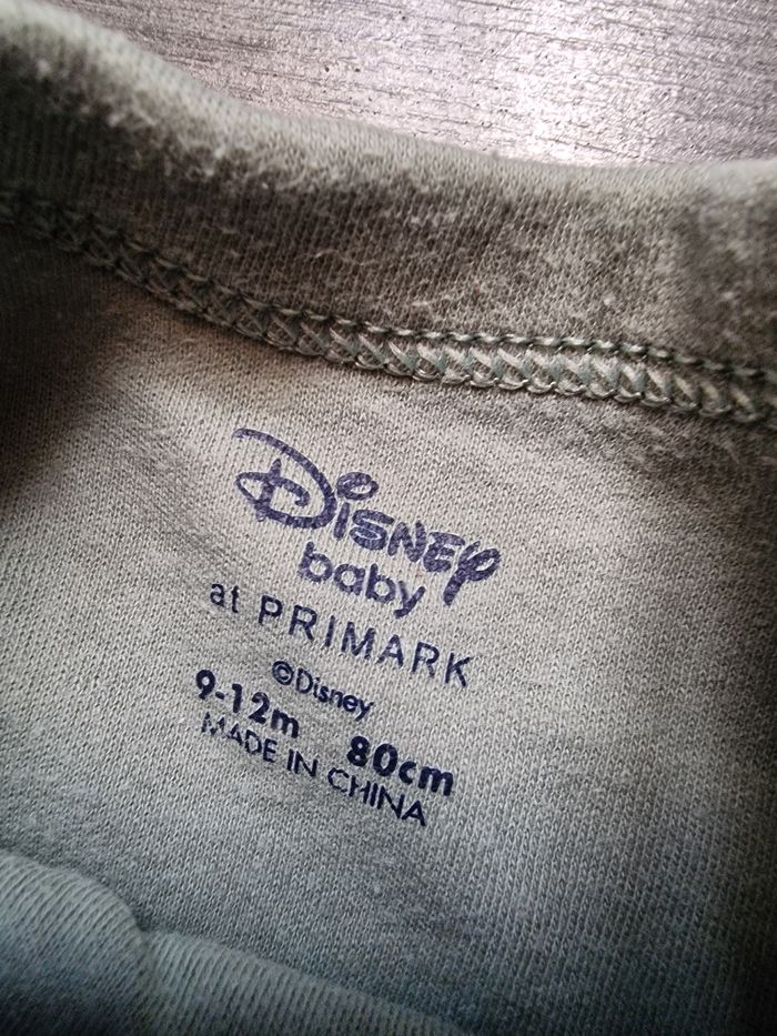 Ensemble disney roi lion vert - photo numéro 2