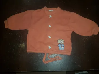 Veste