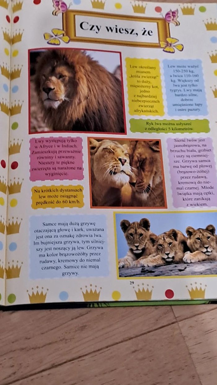 Livre enfants en polonais - photo numéro 3