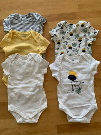 Lot 5 bodies 3 mois TAO