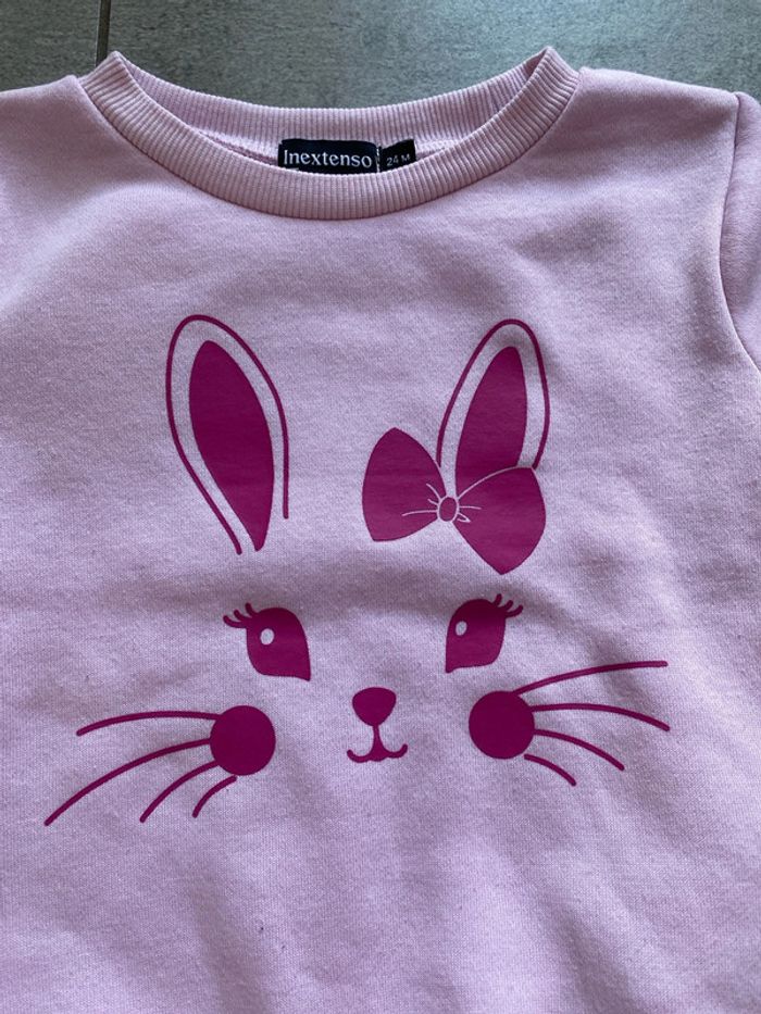 Pull / Sweat rose in extenso - photo numéro 2