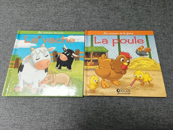 Lots 2 Livres enfant