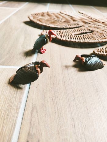 🦅Playmobil lot de figurines animaux vautours (MMS)