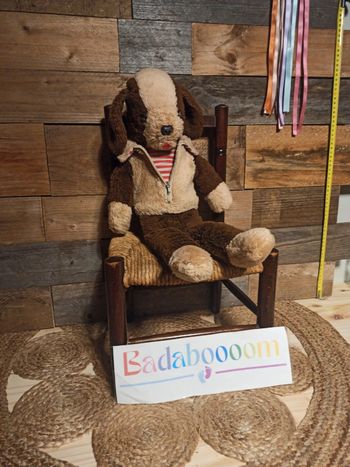 peluche chien boulgom BE vintage