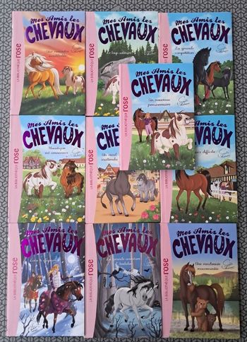 Mes amis les cheveux lot de 10 livres bibliothèque rose tbe ((bbs1)