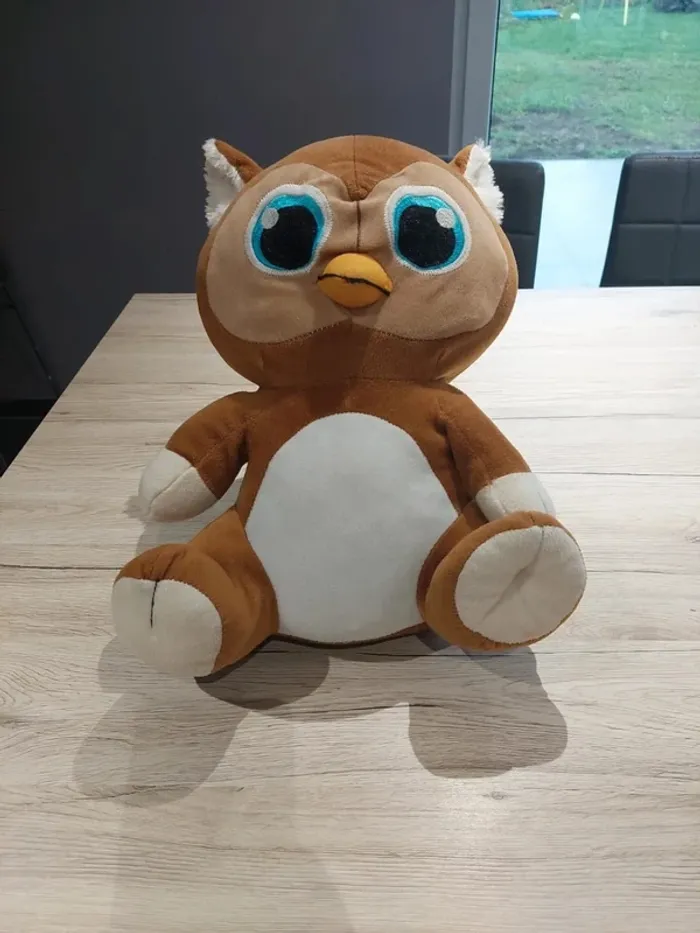 Hibou - photo numéro 2