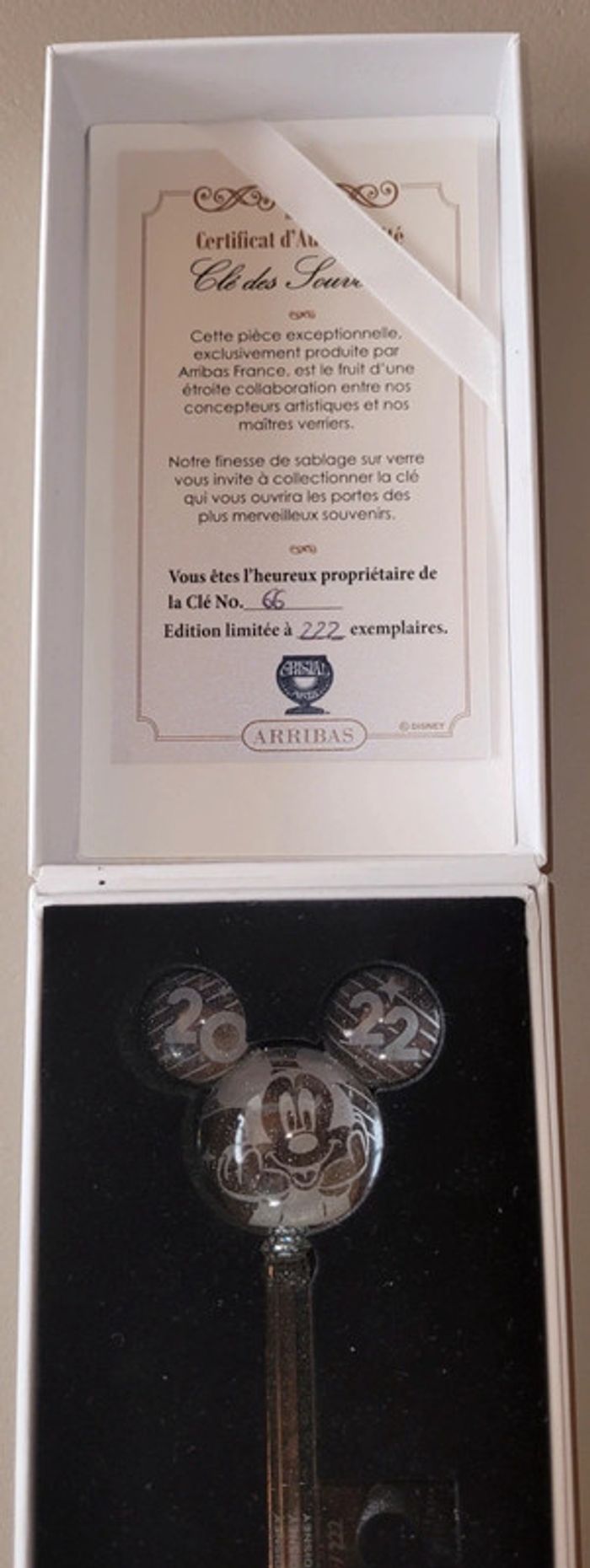 Cle llave key arribas mickey 2022 disney - photo numéro 7