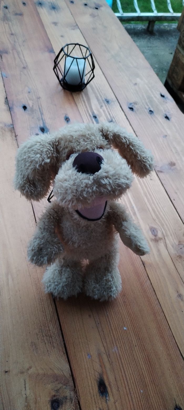 Peluche