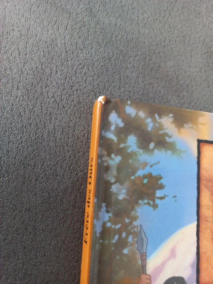 Club du livre mickey disney frère des ours - photo numéro 2