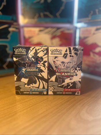 Bundle foudre noire flamme blanche scellé en français