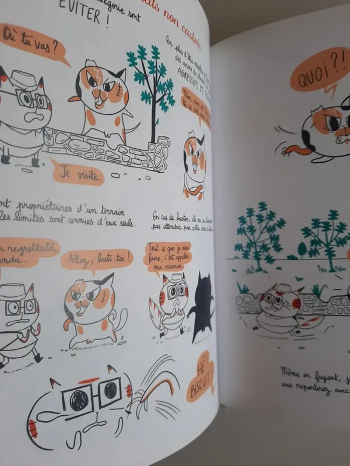 lot chats livres bd humour comportement - photo numéro 10