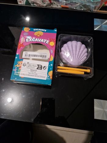 Coquillage à creuser