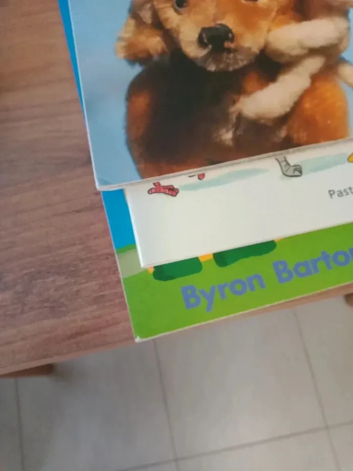 Livre pour enfants - photo numéro 9