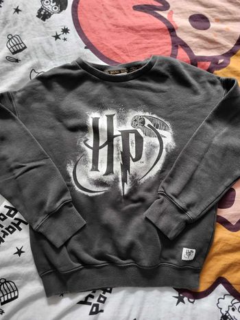Pull Harry Potter 12 ans