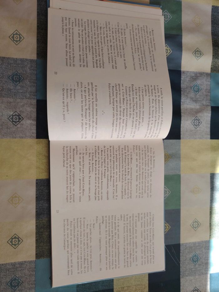 Livre sur le cheval - photo numéro 9