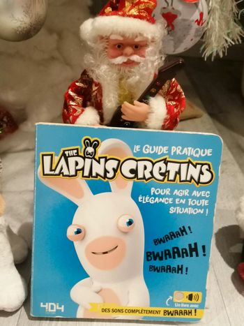 Livre lapins crétins 🐰