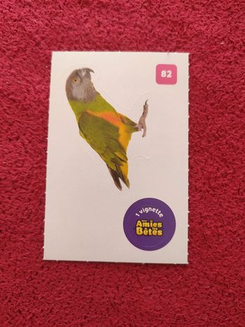 Carte nos amies les bêtes