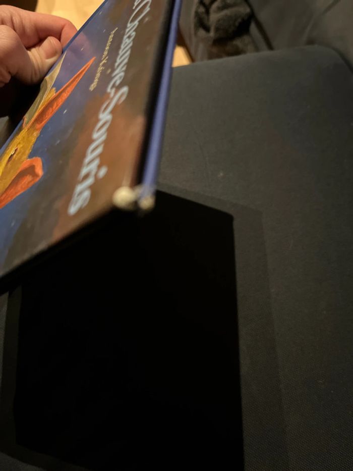 Livre pour enfants antoon krings Valérie la chauve souris - photo numéro 5